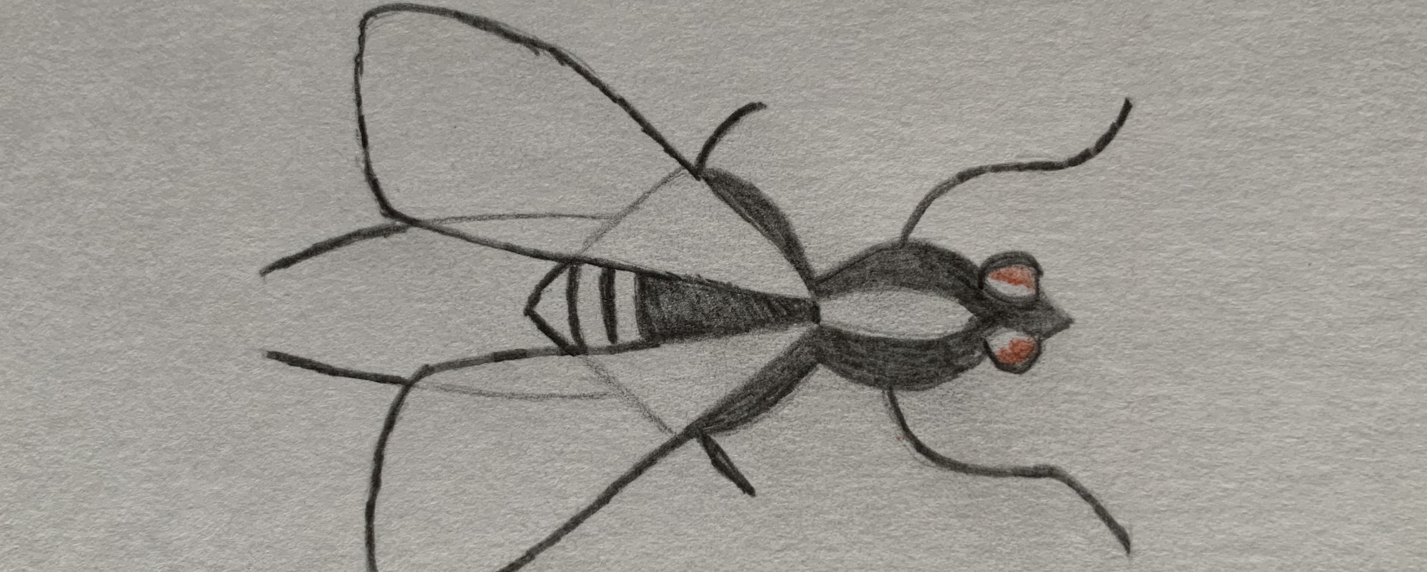 Une fine mouche | Aperto blogo