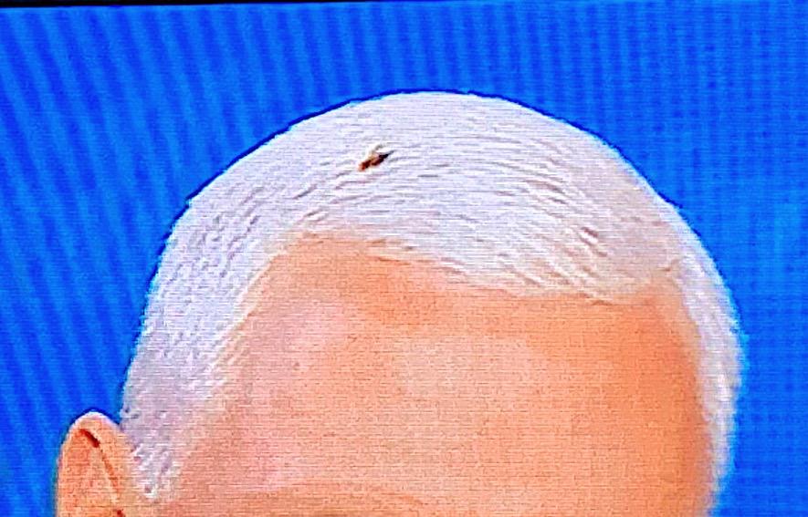 Une fine mouche - Aperto blogo